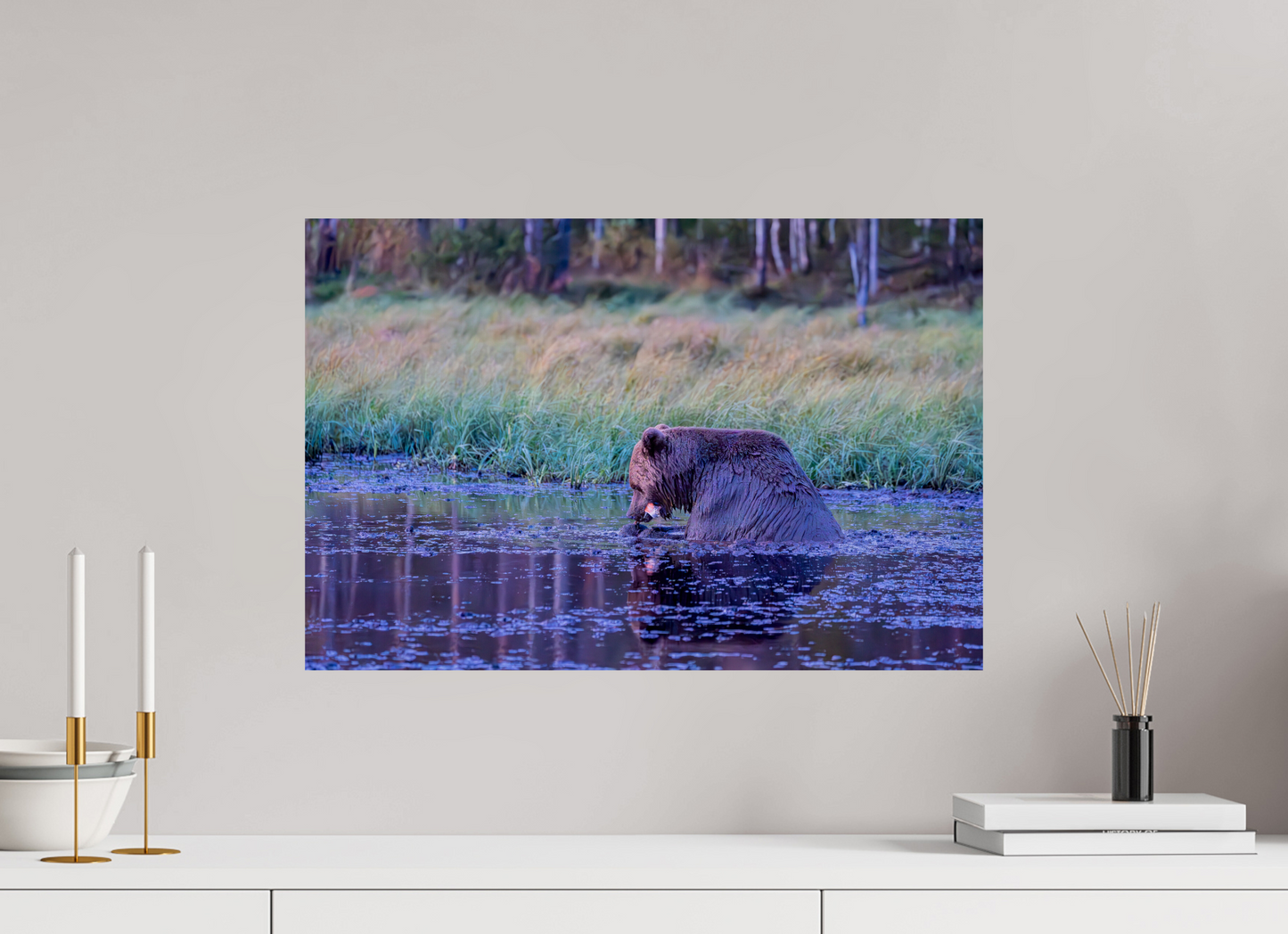 Bär in Finnland